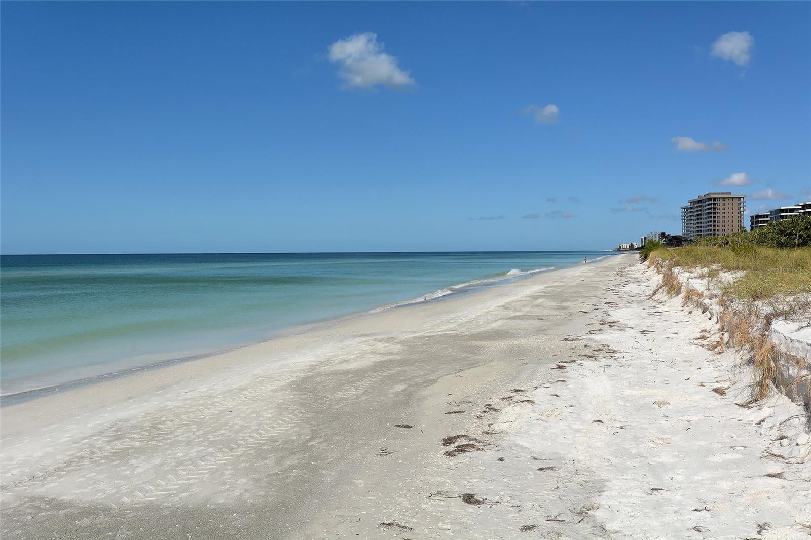 455 LONGBOAT CLUB RD #407