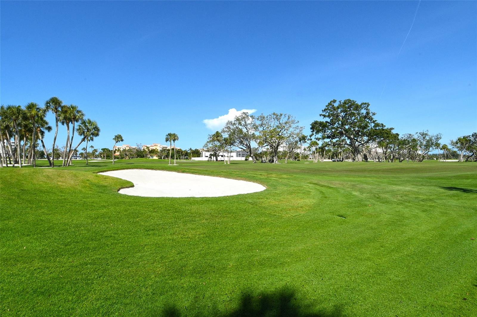 2103 HARBOURSIDE DR #1102