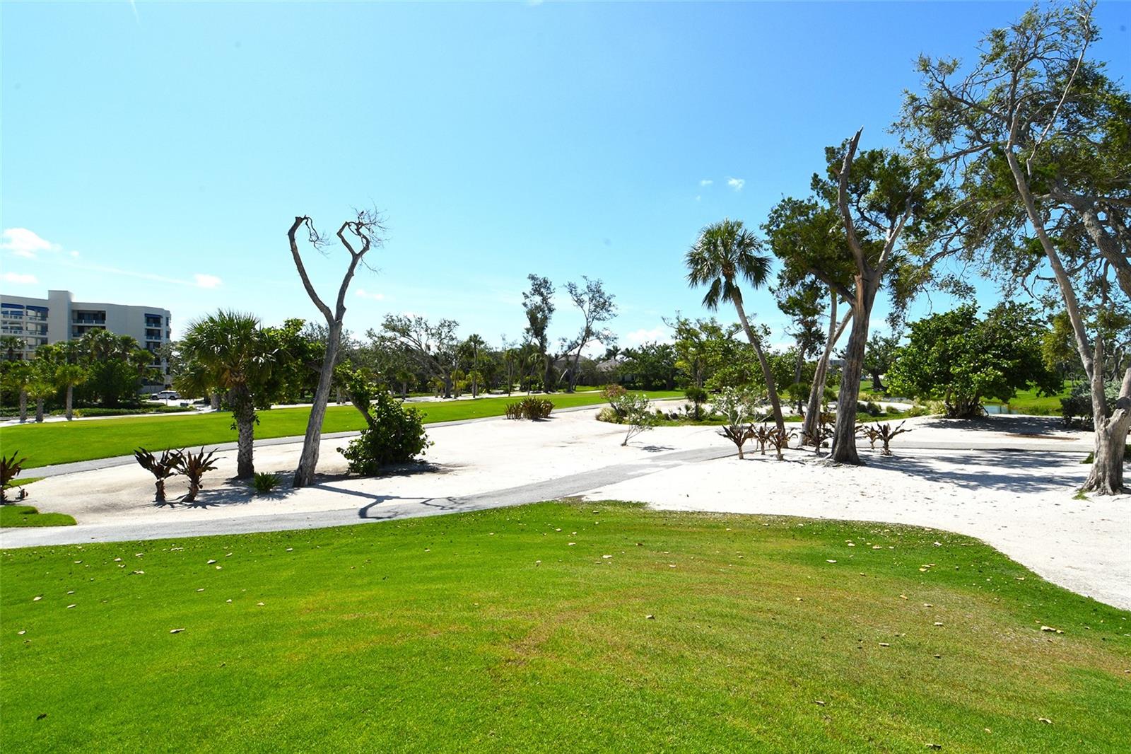 2103 HARBOURSIDE DR #1102