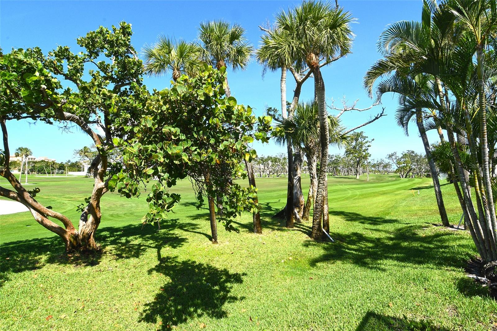 2103 HARBOURSIDE DR #1102