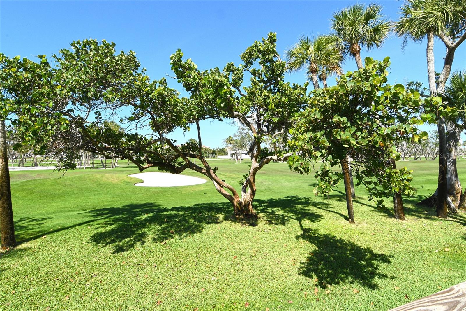 2103 HARBOURSIDE DR #1102