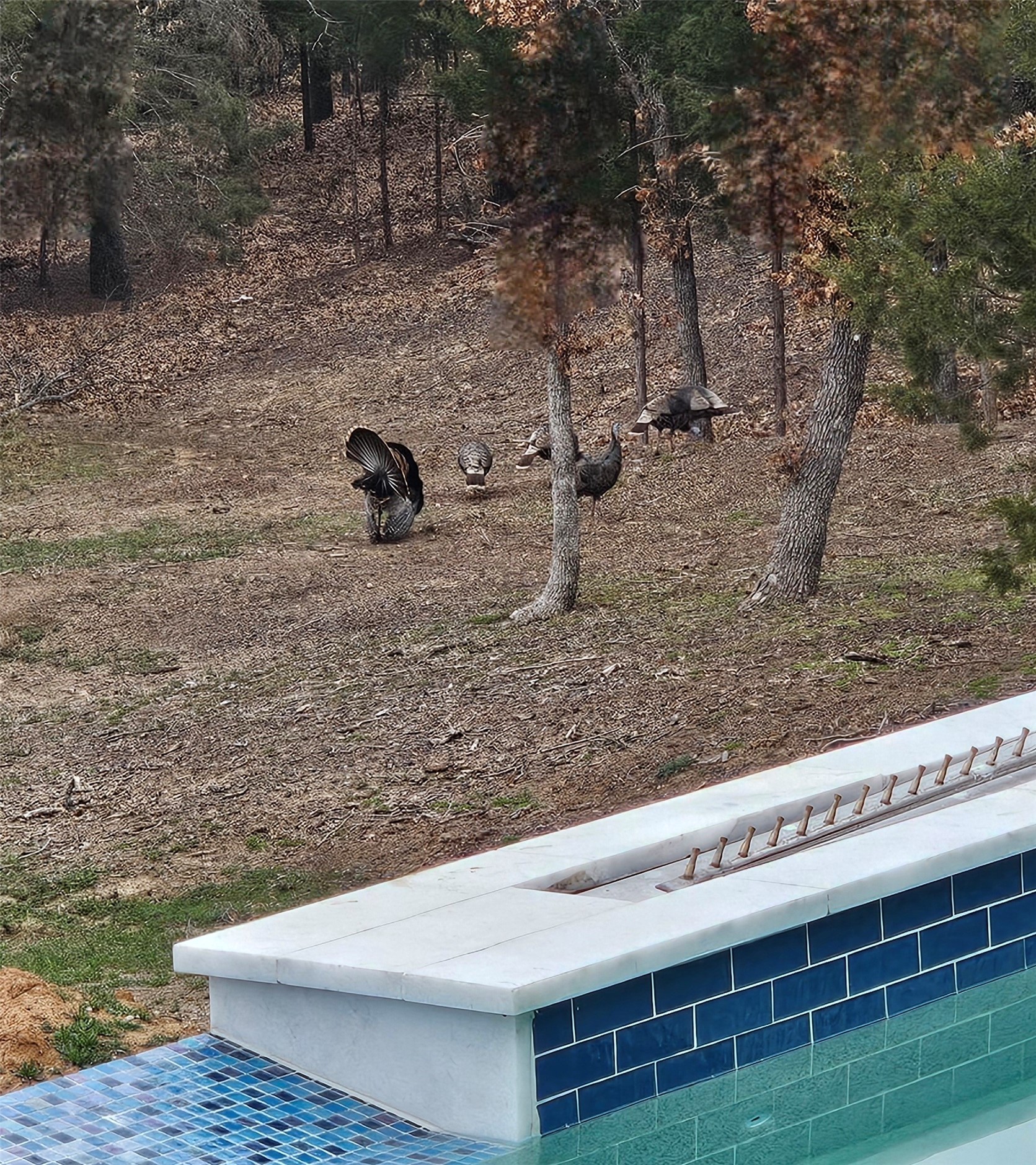 2800 N Kimball Avenue