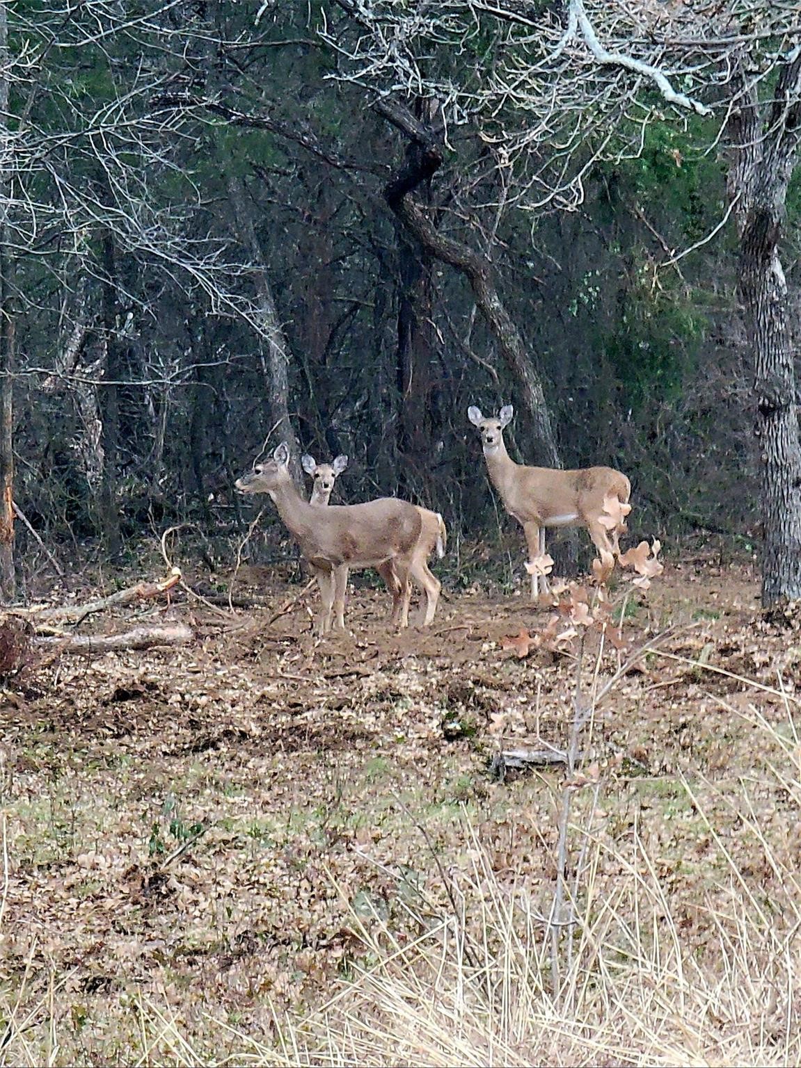 2800 N Kimball Avenue