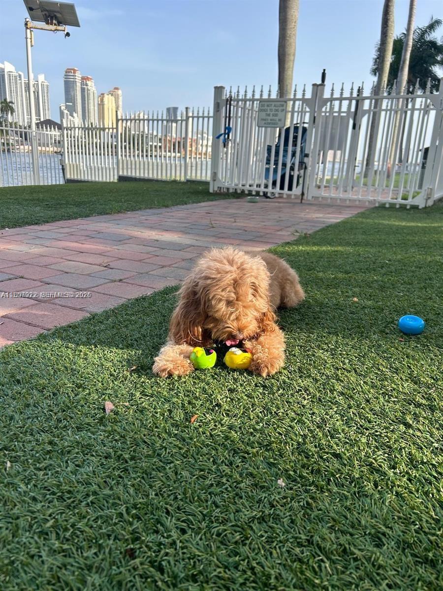 3600 Mystic Pointe Dr # 1616