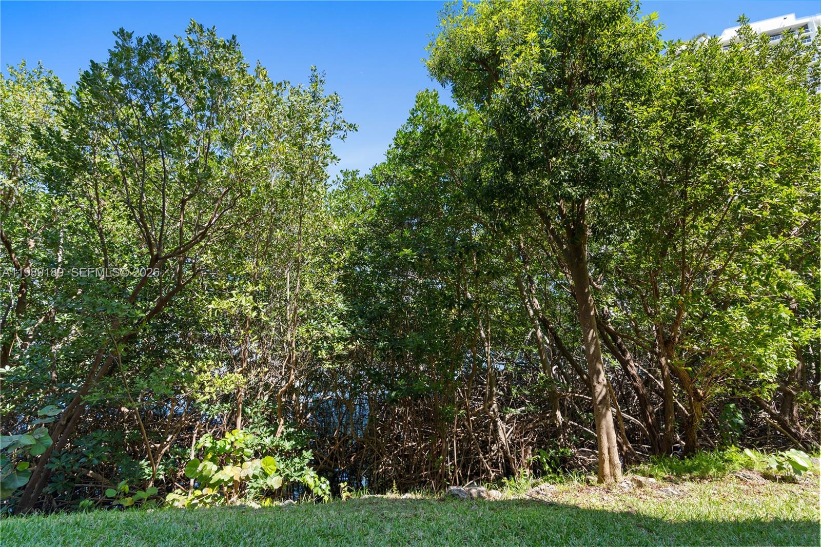 19655 E Country Club Dr # 6108