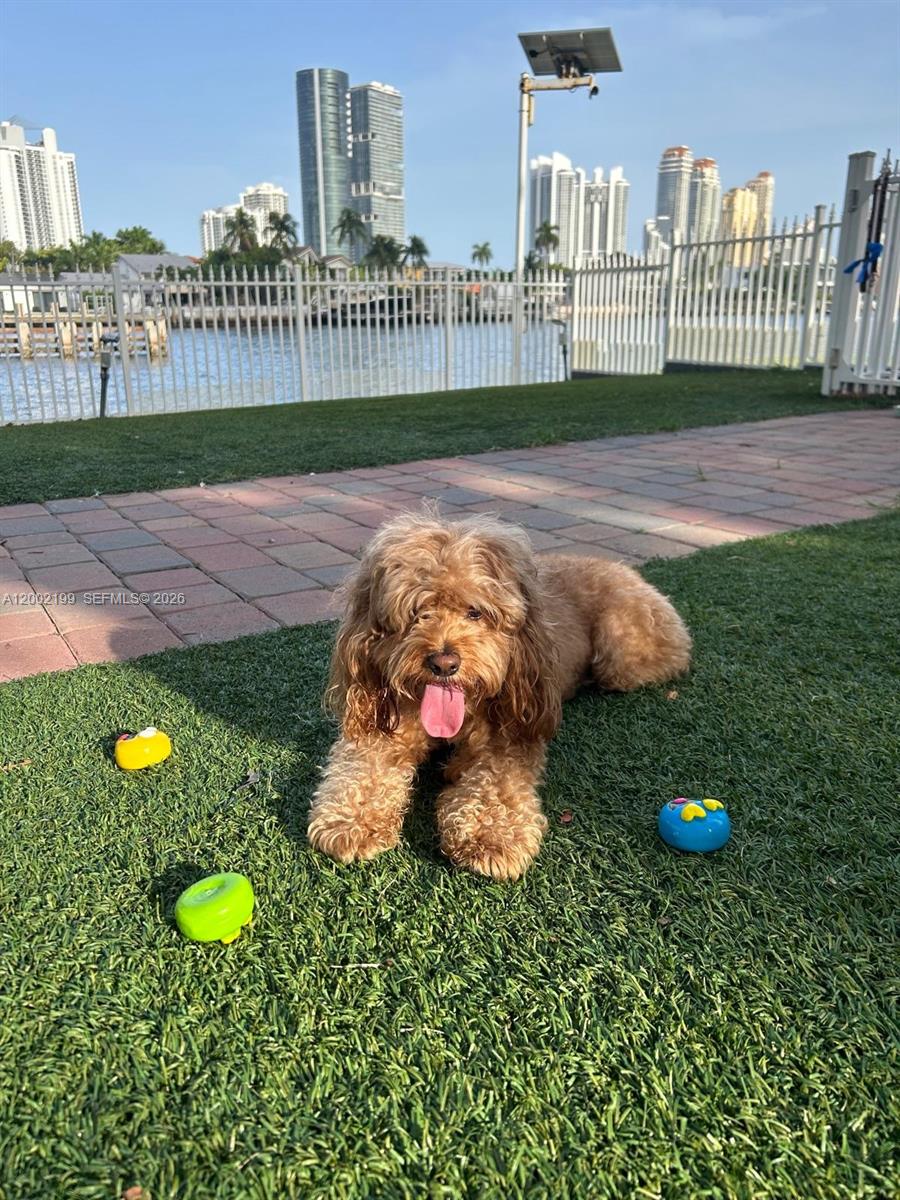 3500 Mystic Pointe Dr # 1403