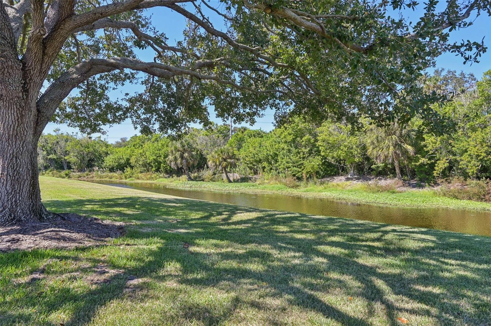 3641 GLENEAGLE DR #12D