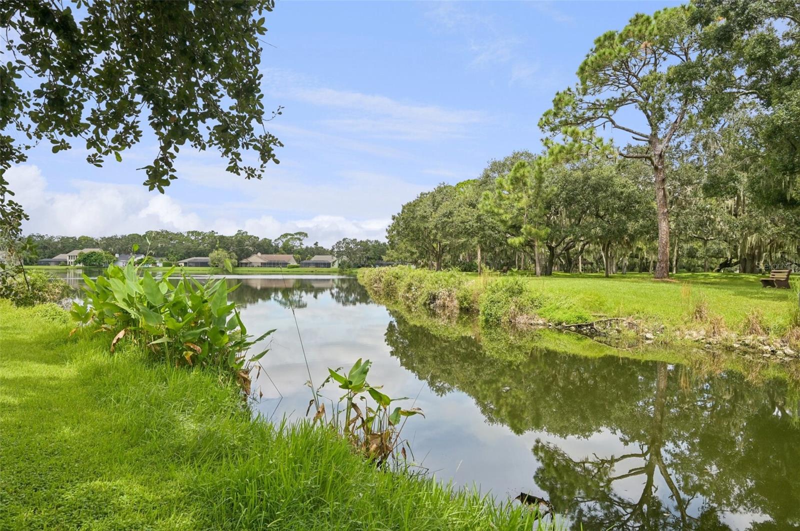 4959 SOUTHERN WOOD DR