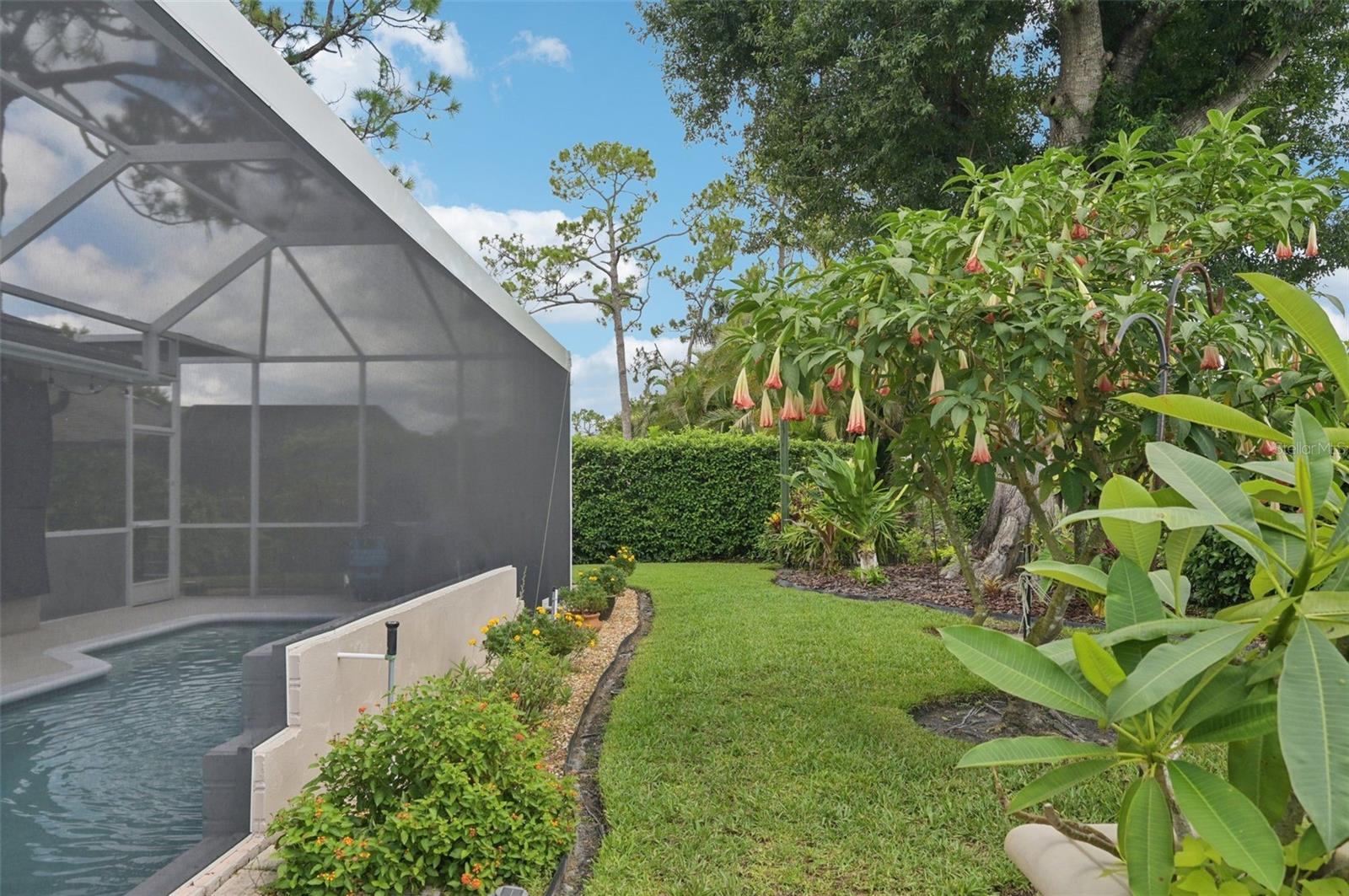 4959 SOUTHERN WOOD DR