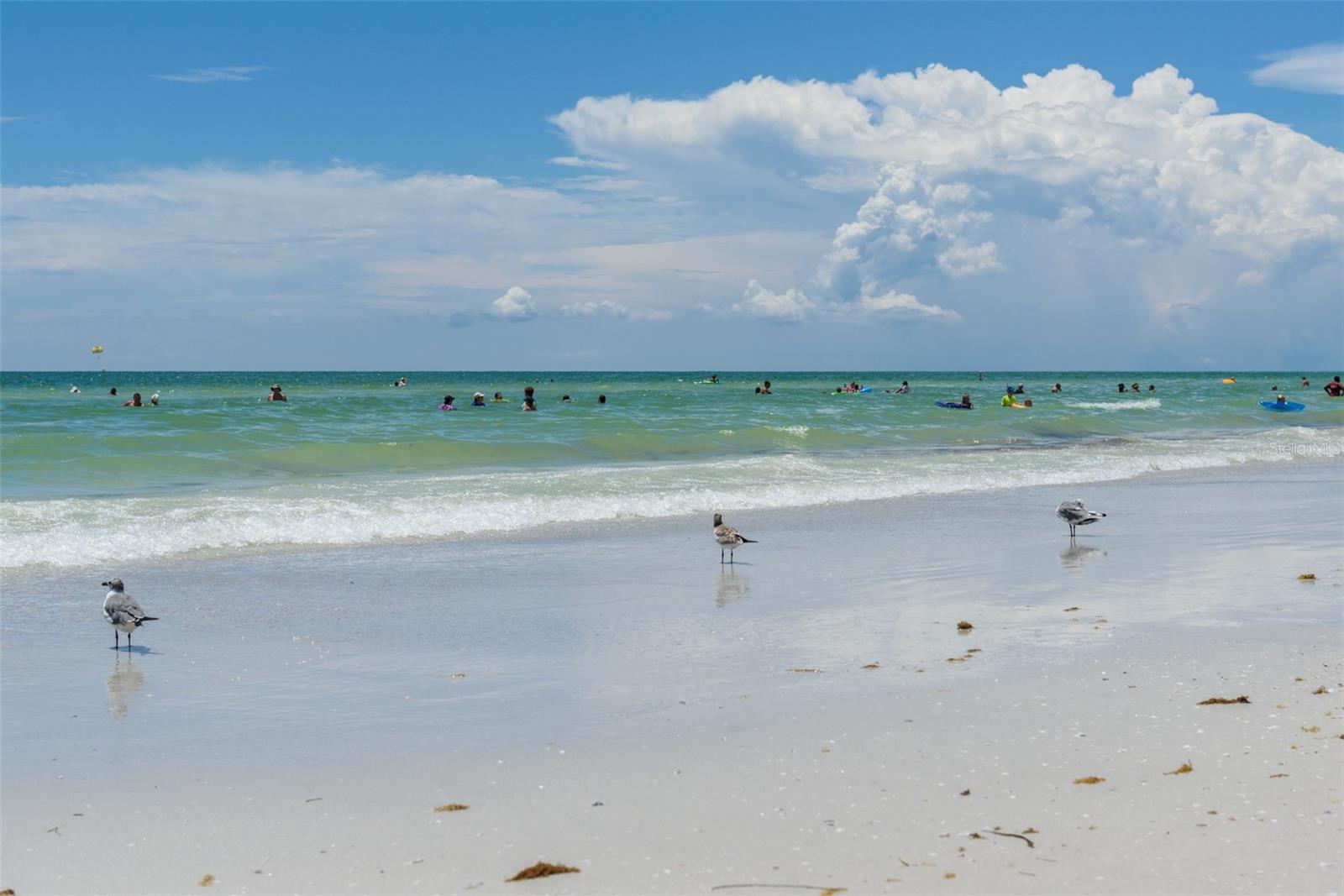 5790 MIDNIGHT PASS RD #702