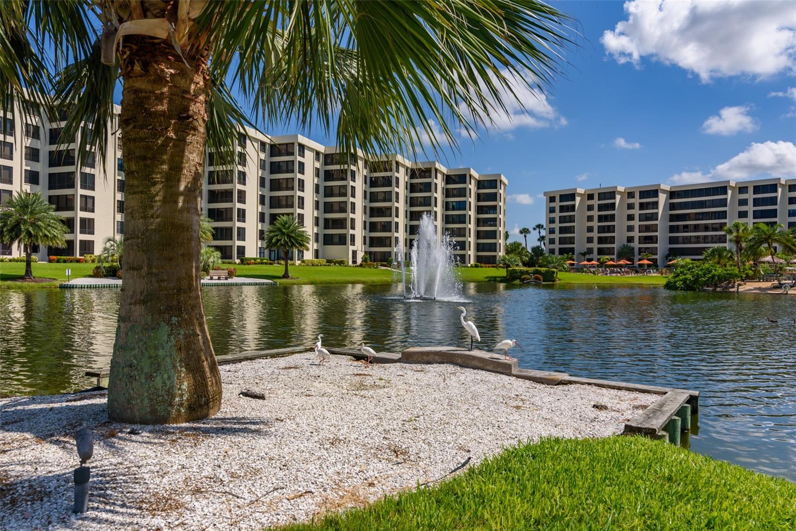 5780 MIDNIGHT PASS RD #210