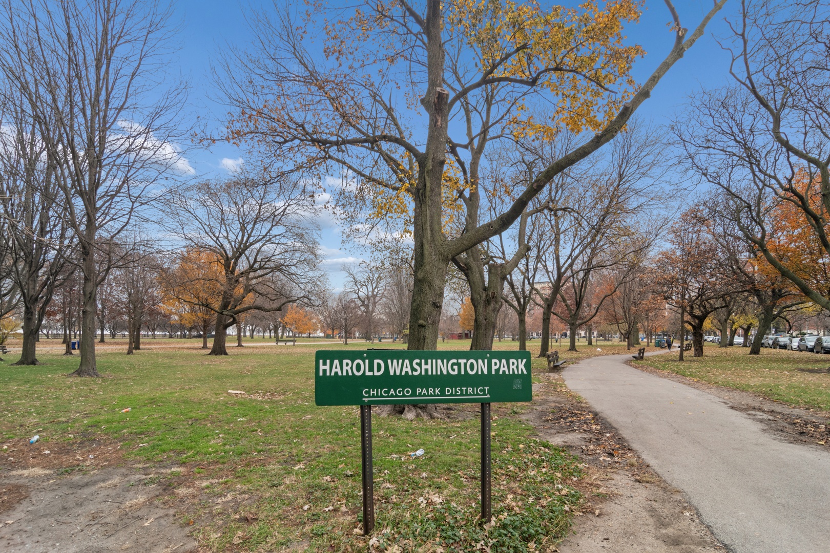 1633 E Hyde Park Boulevard Unit: 3D