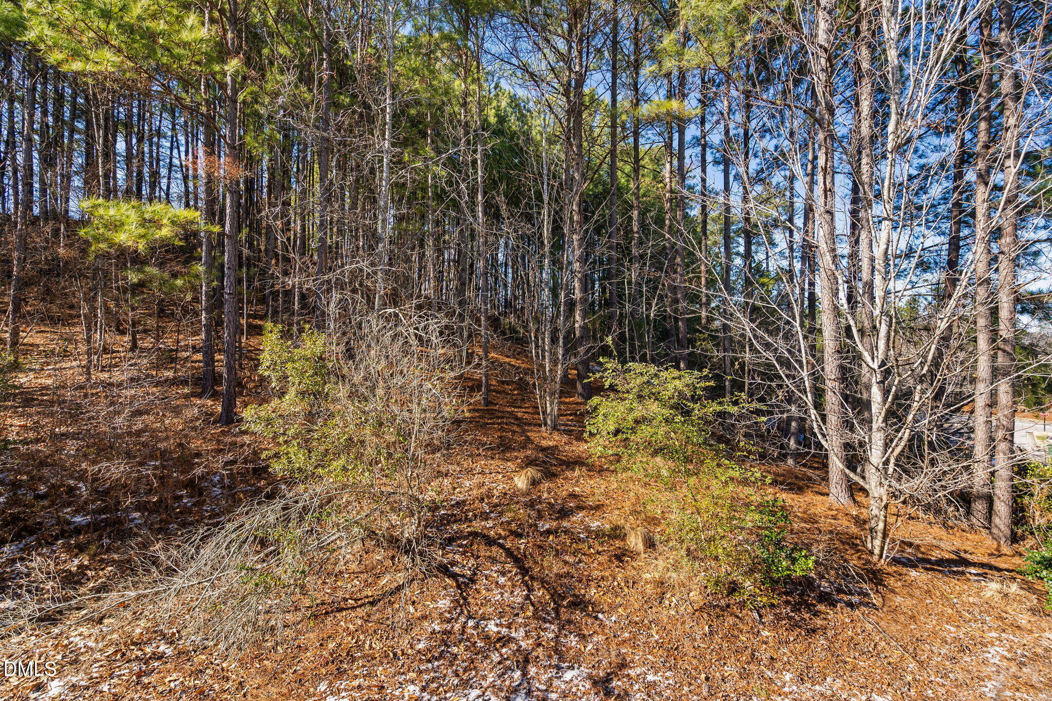 371 Bridgegate Drive