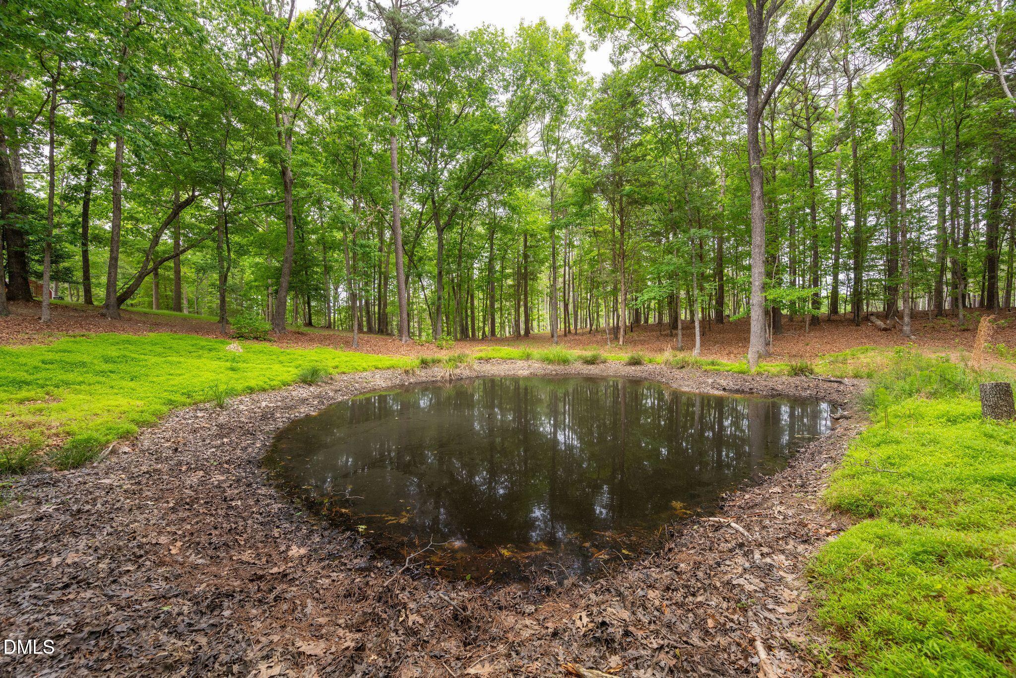 298 Forest Lane