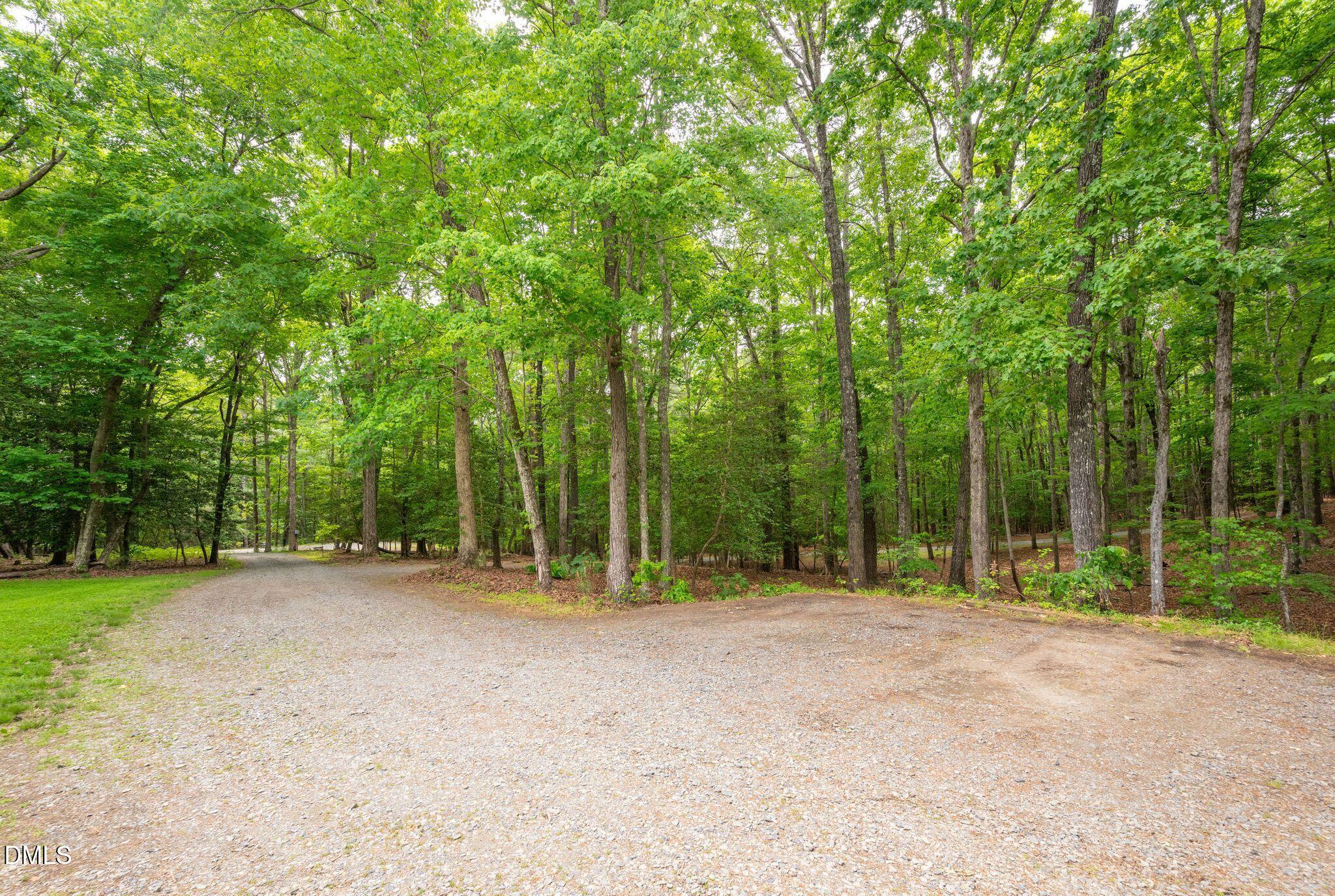 298 Forest Lane