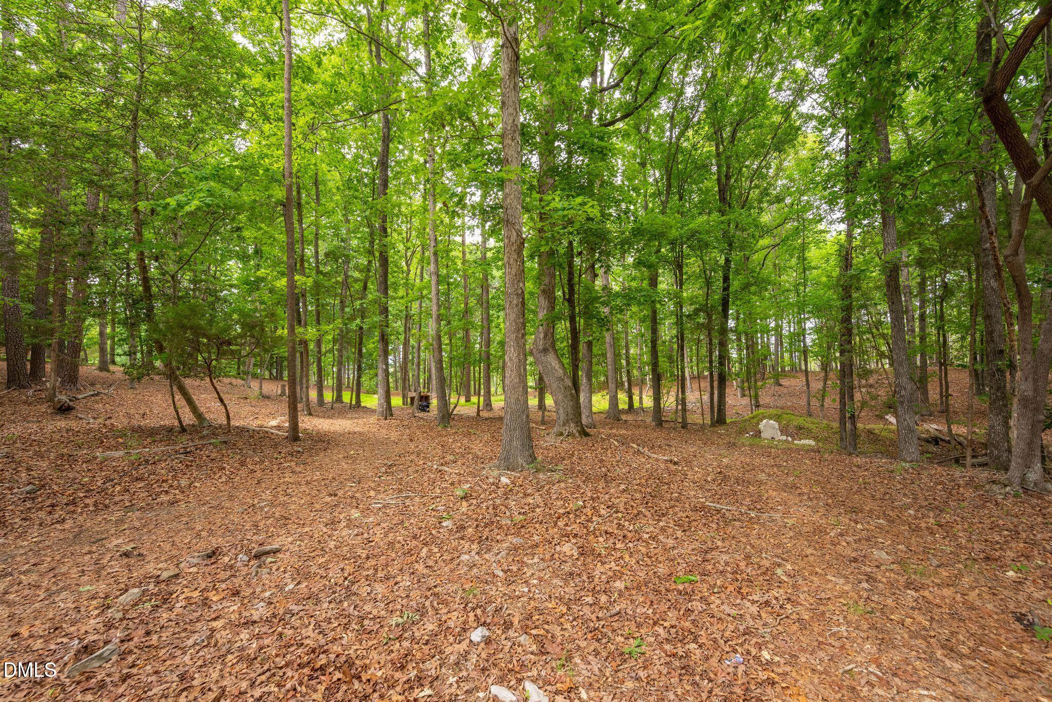 298 Forest Lane