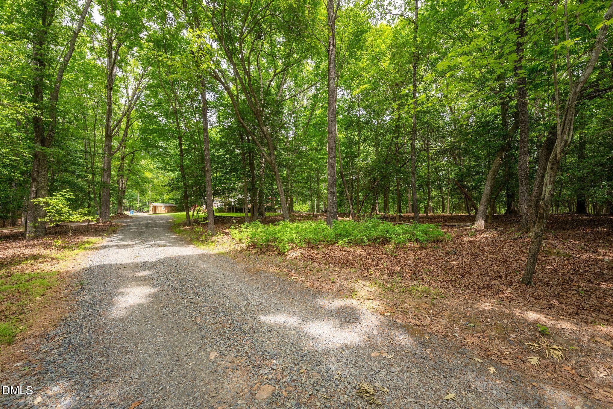 298 Forest Lane