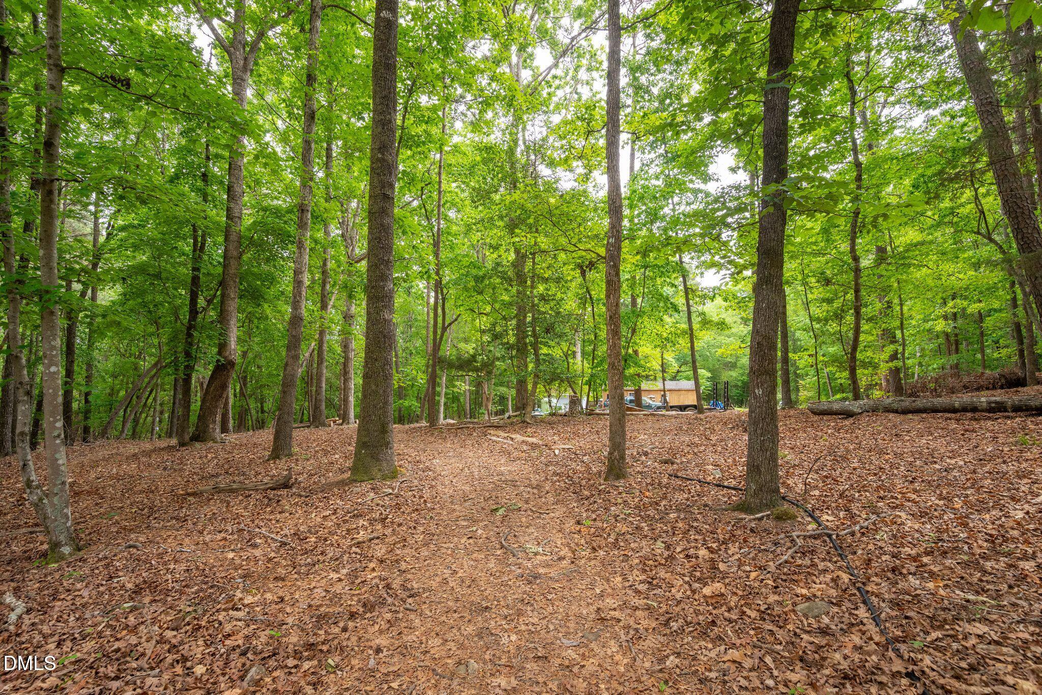 298 Forest Lane