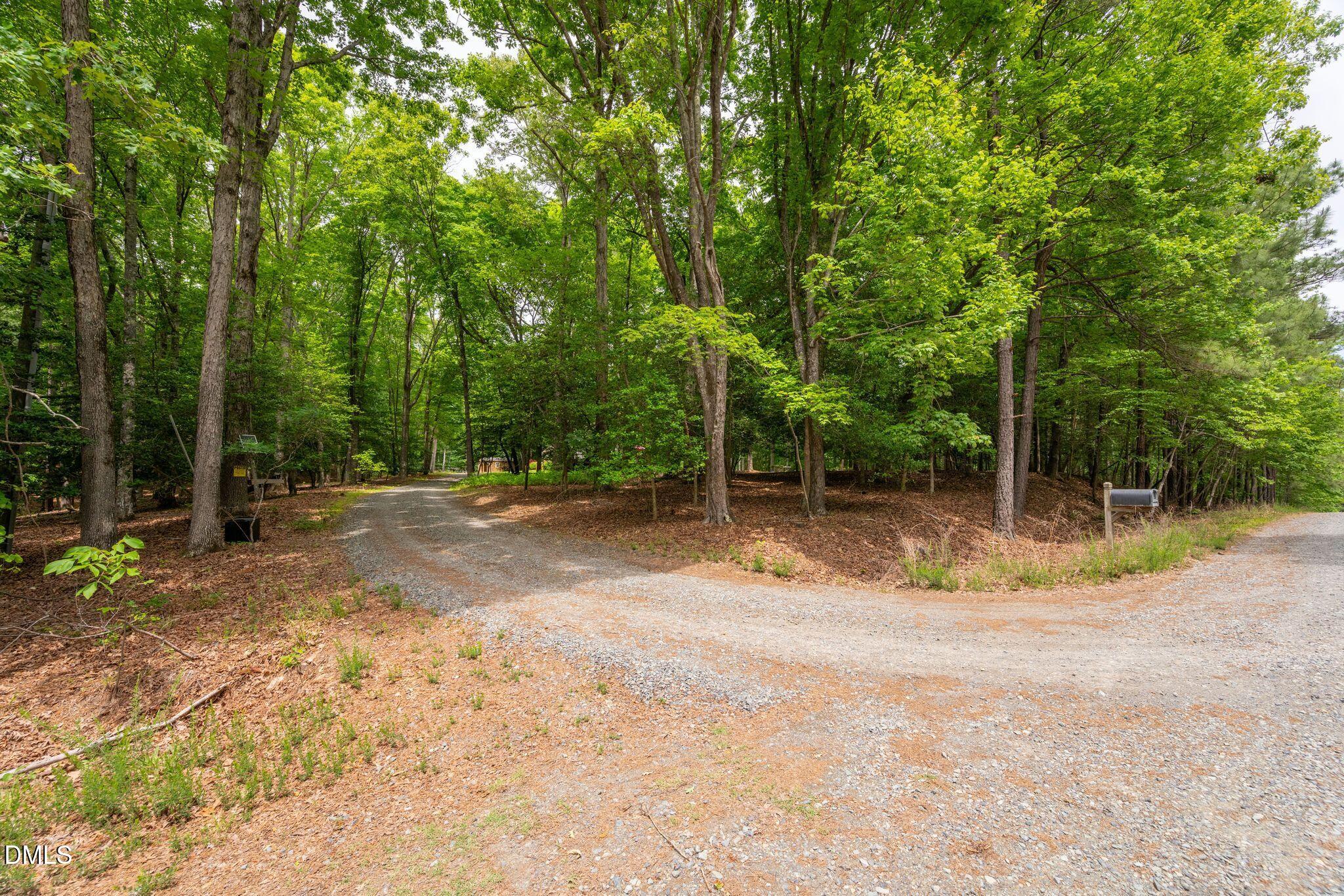 298 Forest Lane