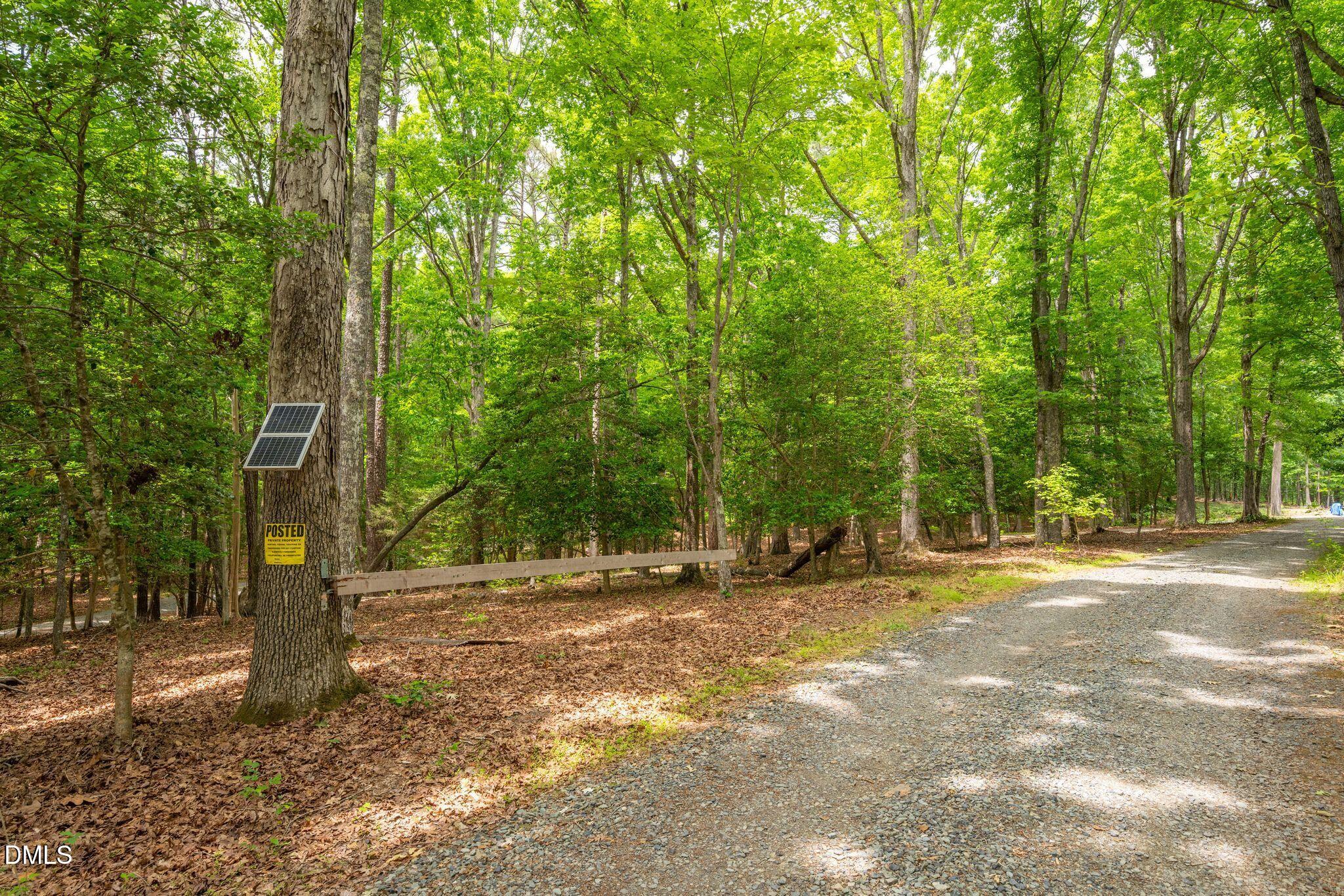 298 Forest Lane