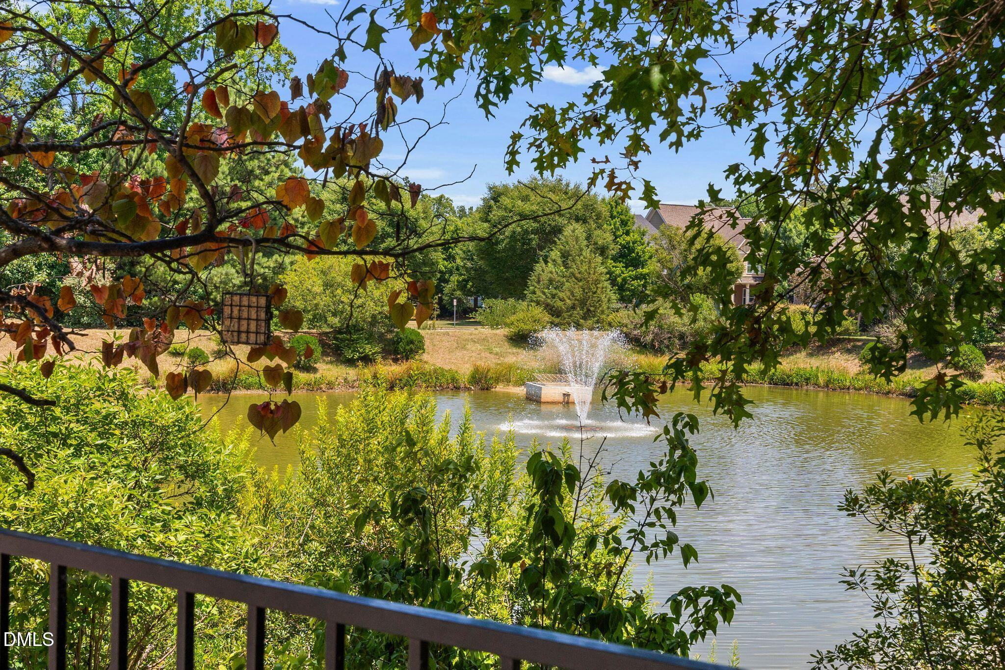 929 Shoofly Path