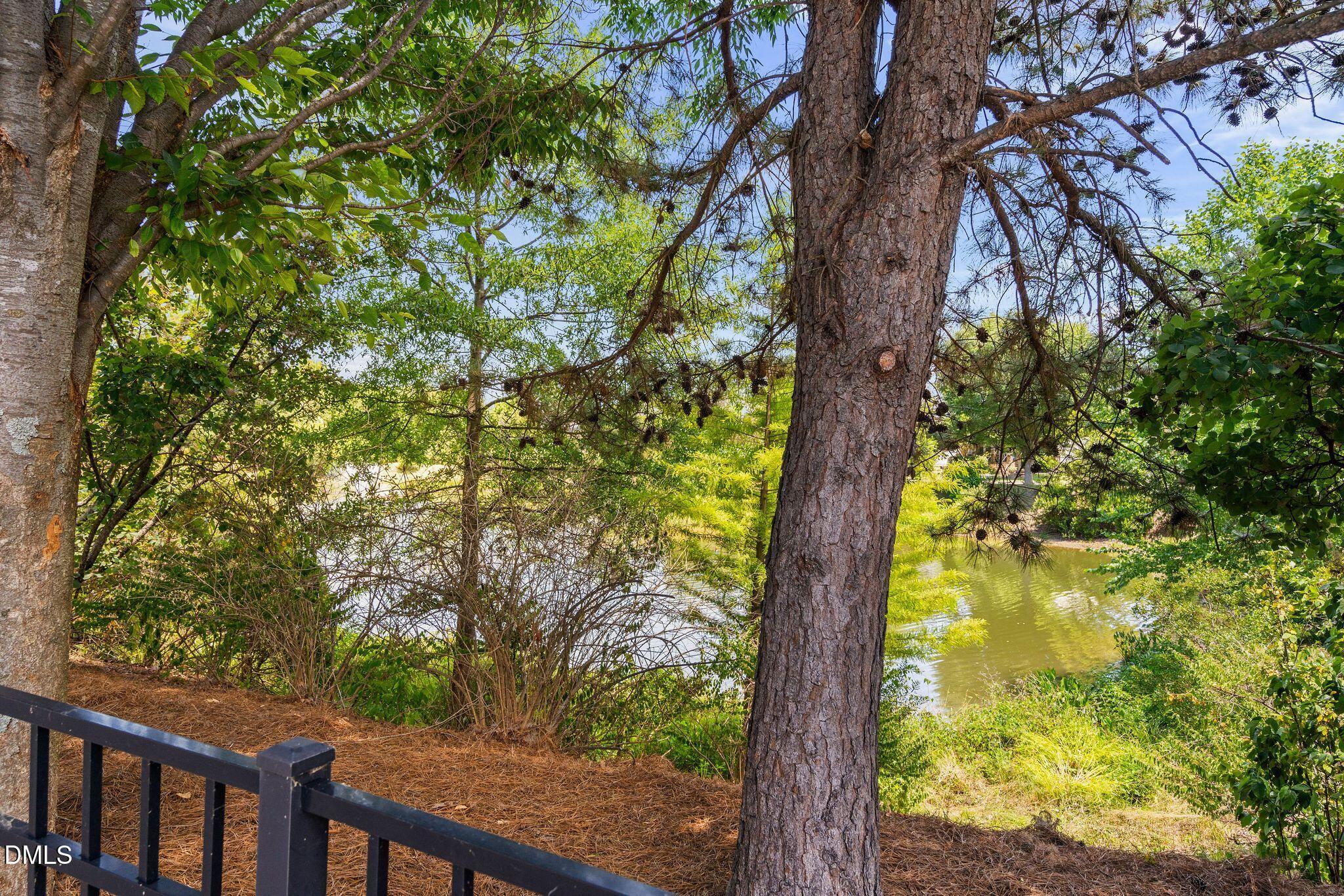 929 Shoofly Path
