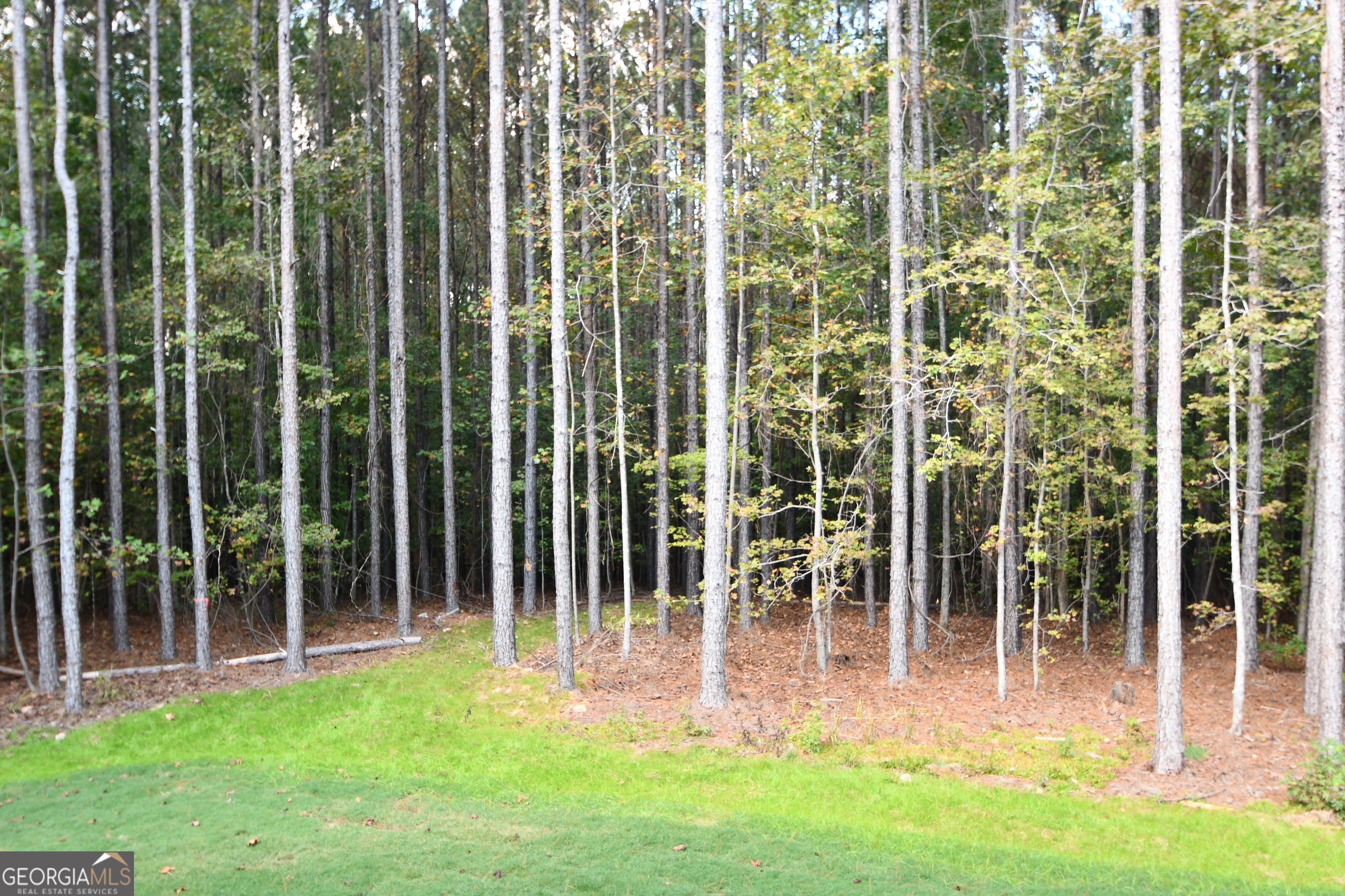 1165 Watersedge Cove