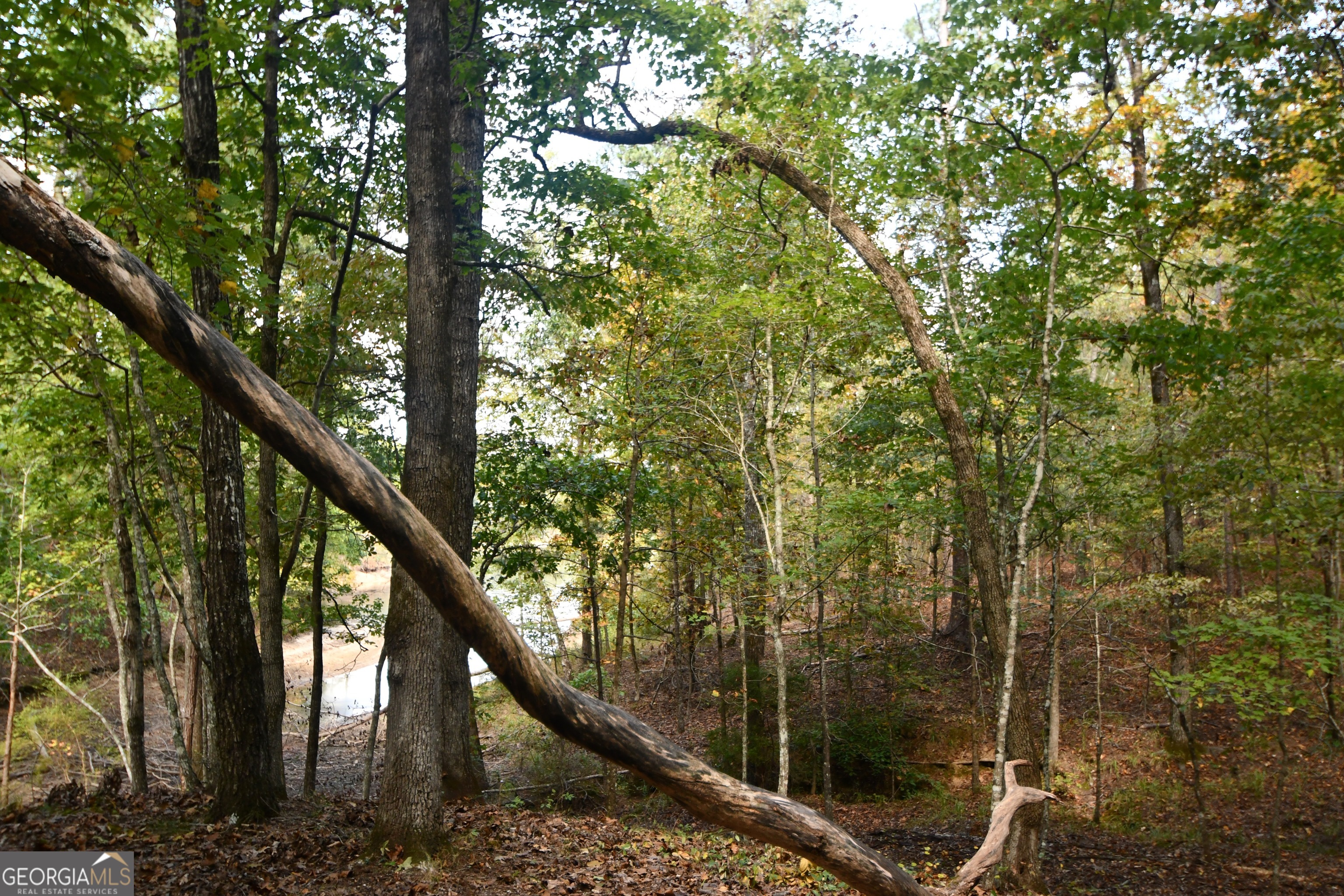 1165 Watersedge Cove