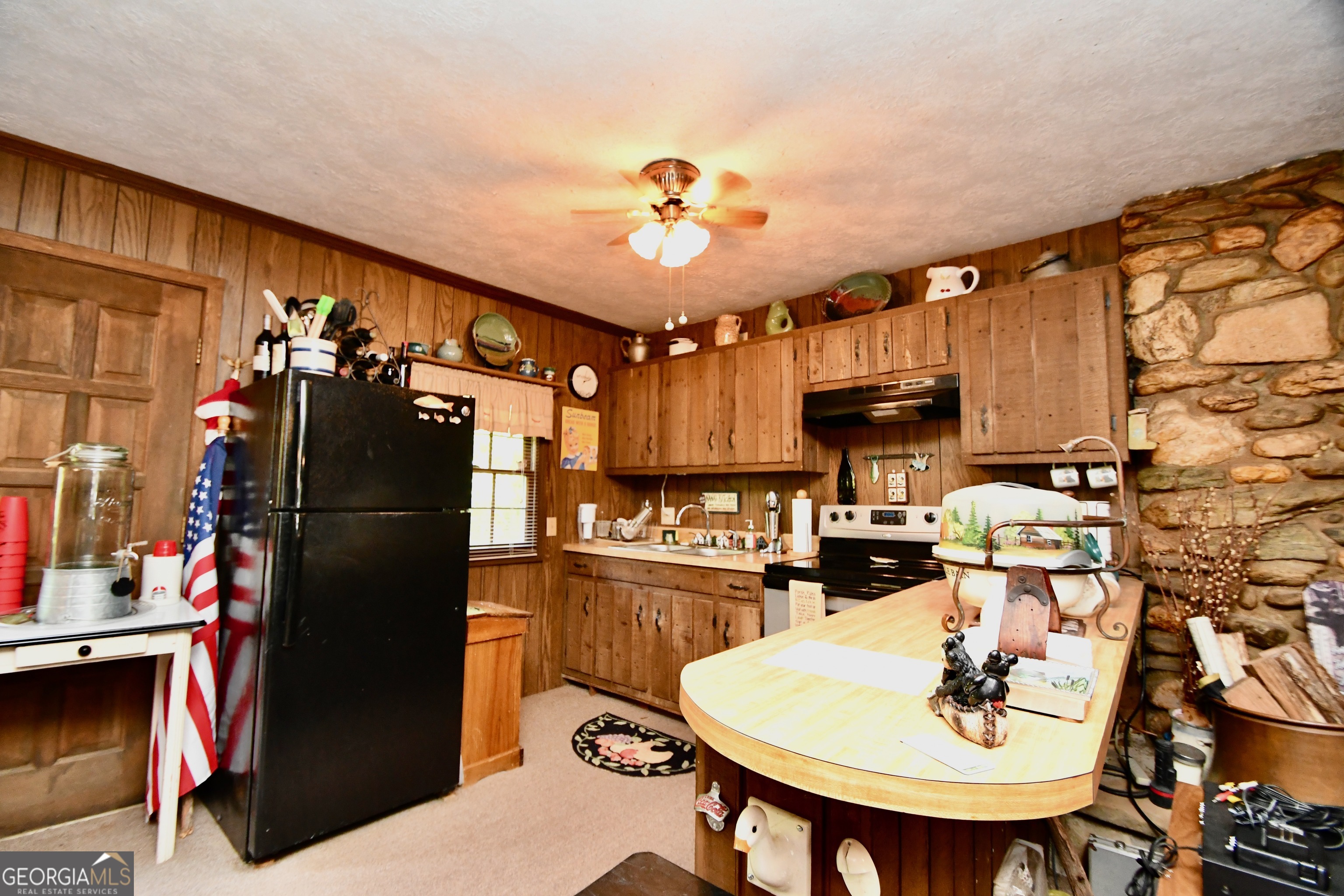 605 W Wildcat Road