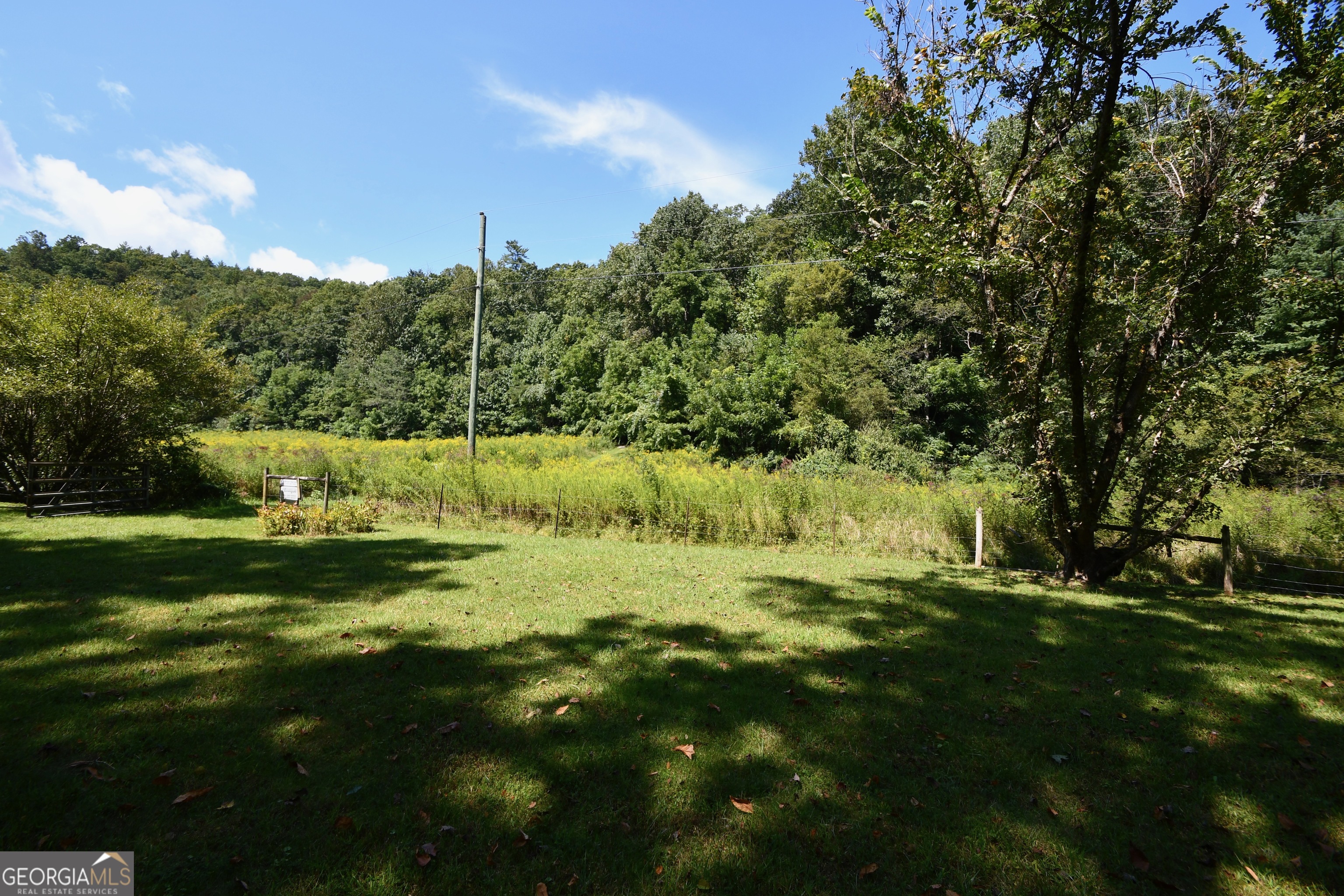 605 W Wildcat Road