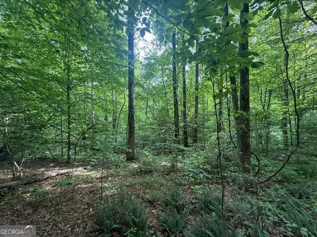 389 Fox Trot # B Unit: TRACT B