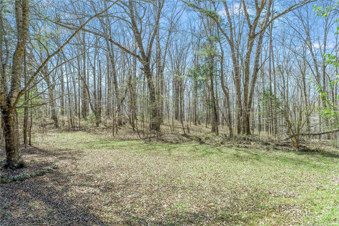1030 Wildcat Ridge Road