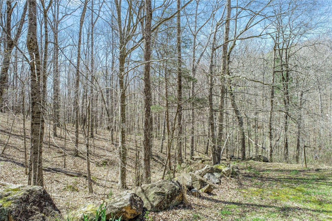 1030 Wildcat Ridge Road