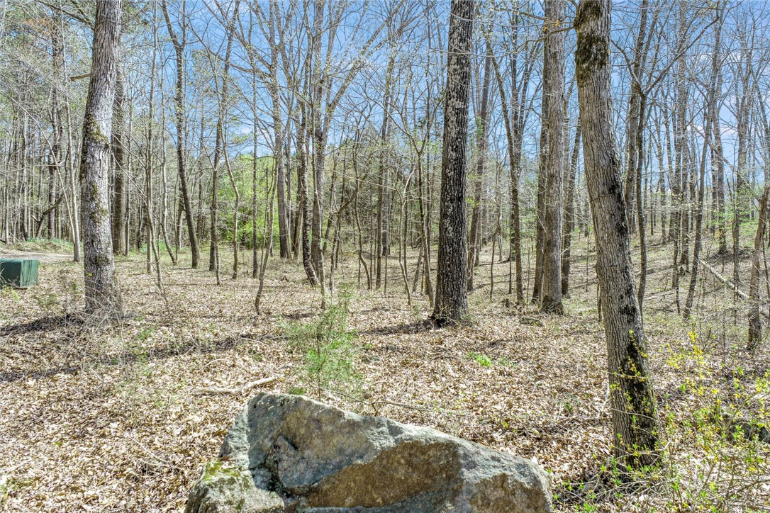 1030 Wildcat Ridge Road