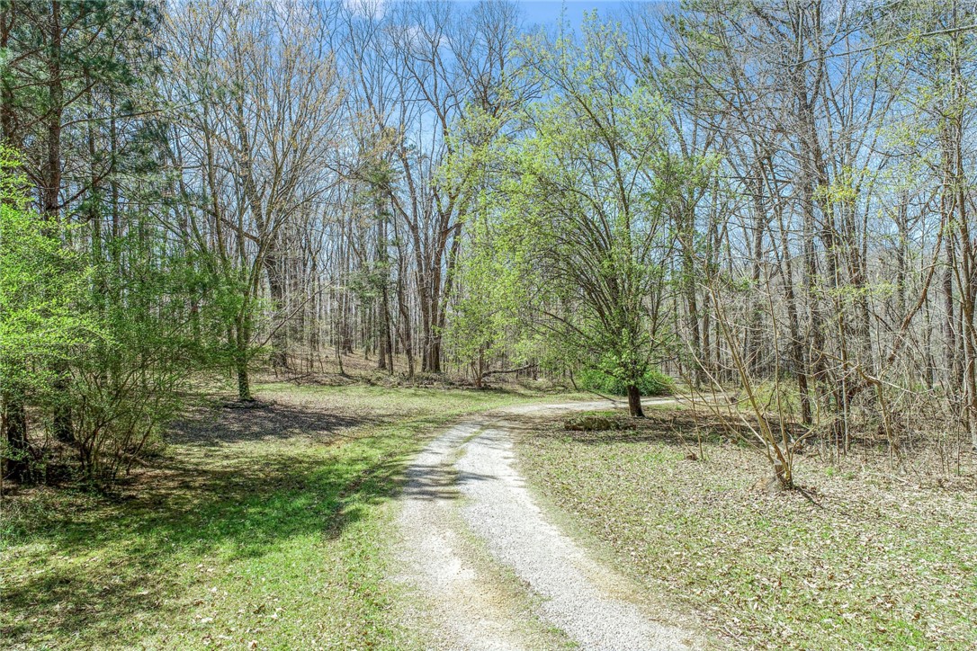 1030 Wildcat Ridge Road
