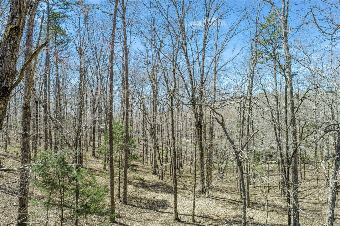 1030 Wildcat Ridge Road