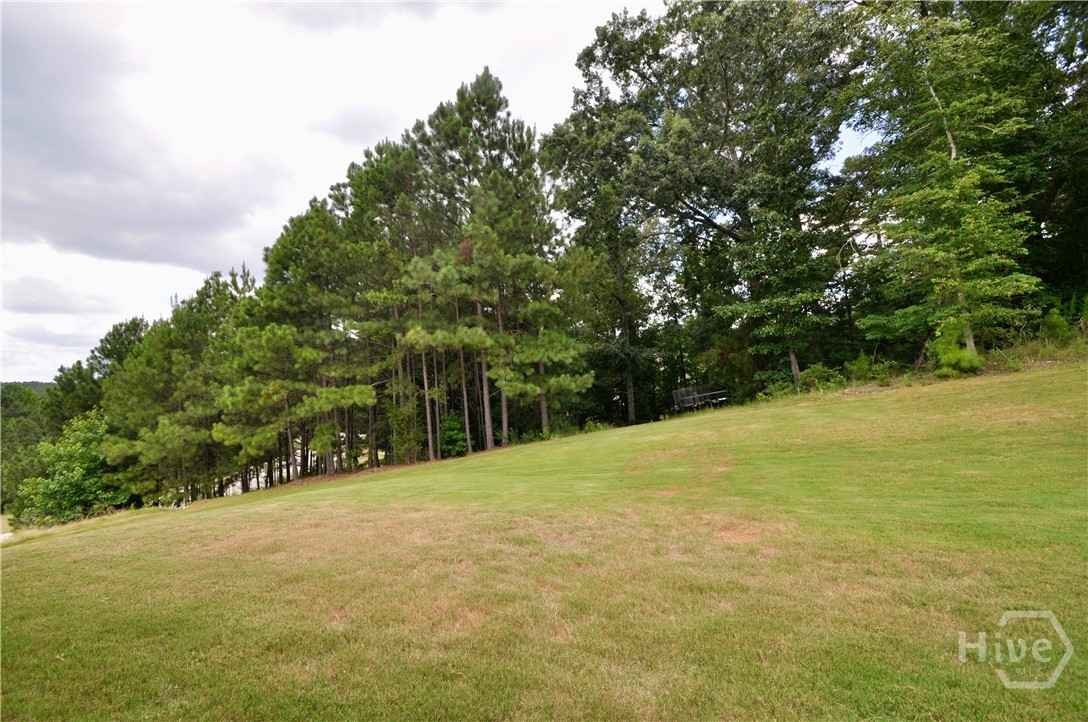 860 Ashland Falls Drive