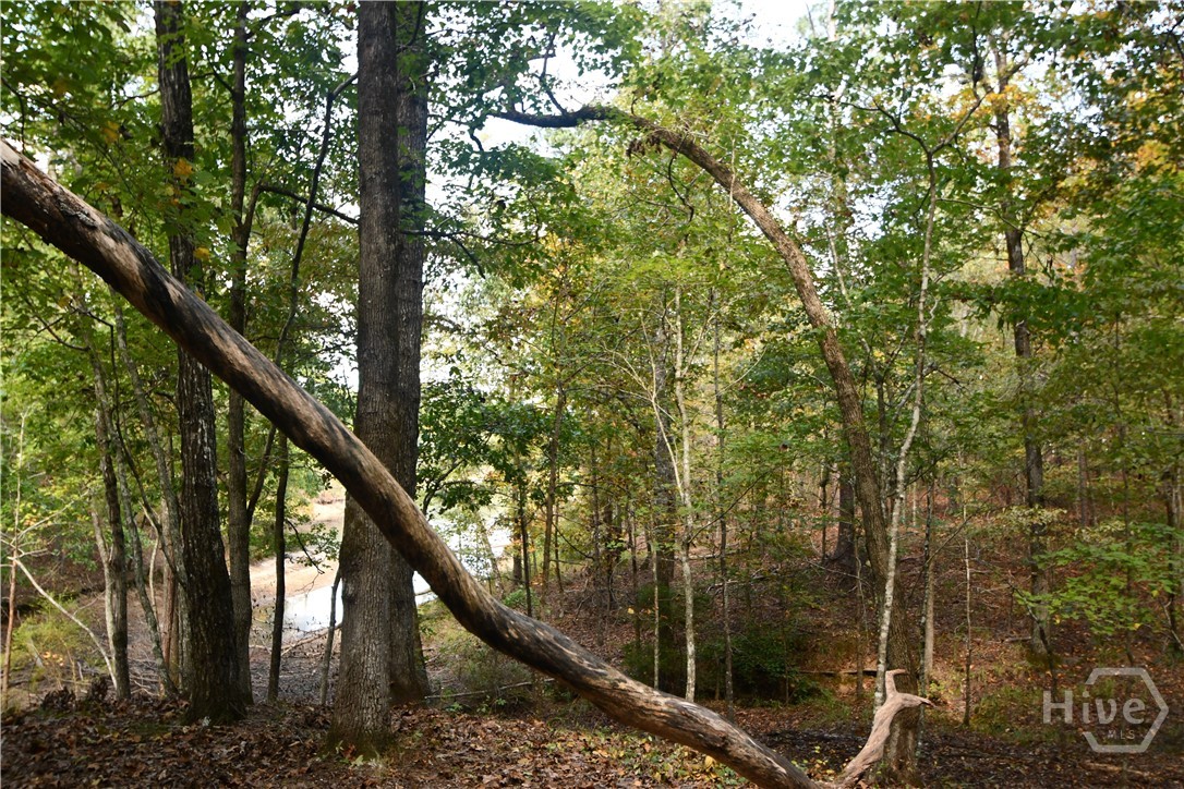 1165 Watersedge Cove