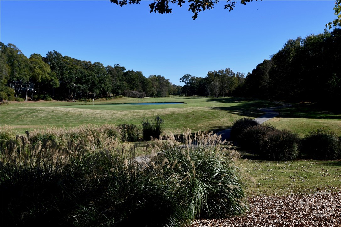 2624 Bent Pine Drive