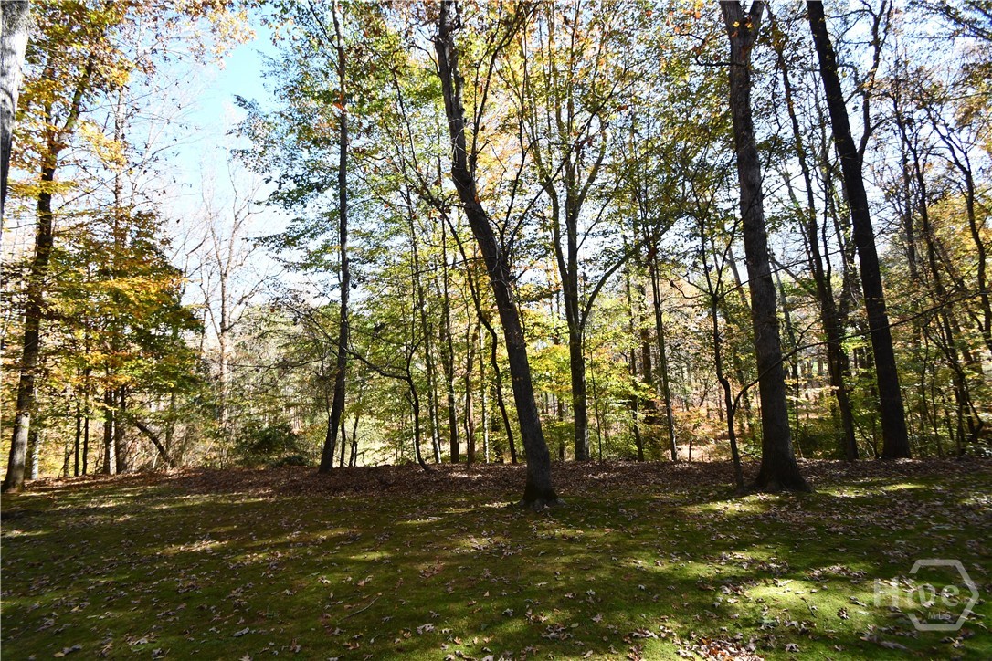 218 Thornhill Drive