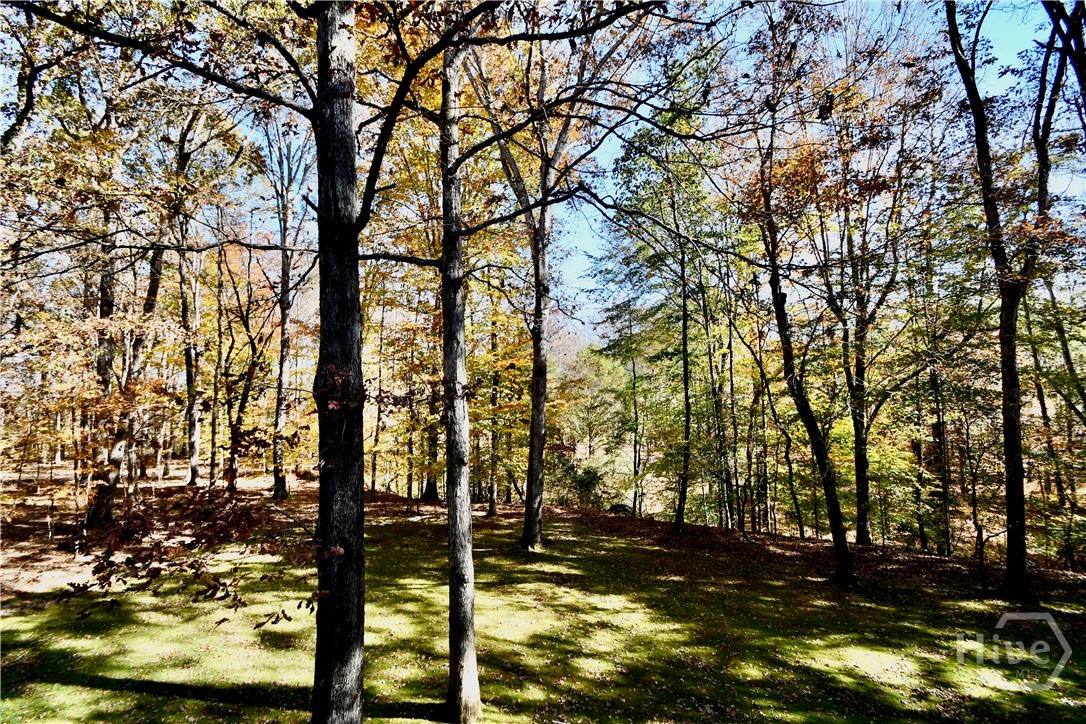 218 Thornhill Drive
