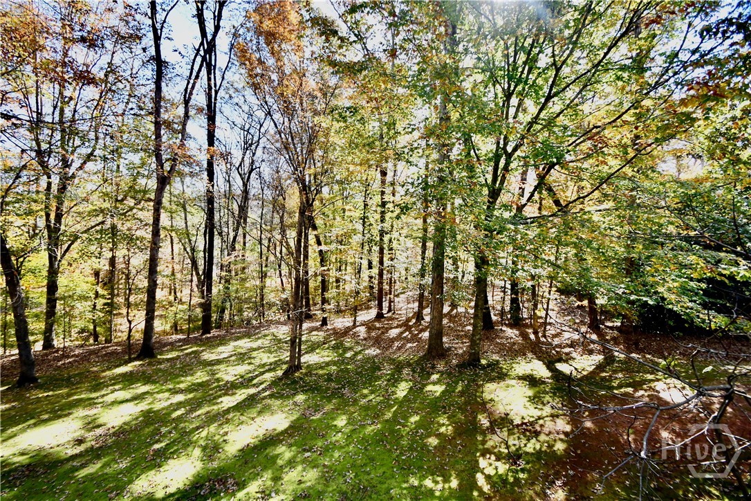 218 Thornhill Drive
