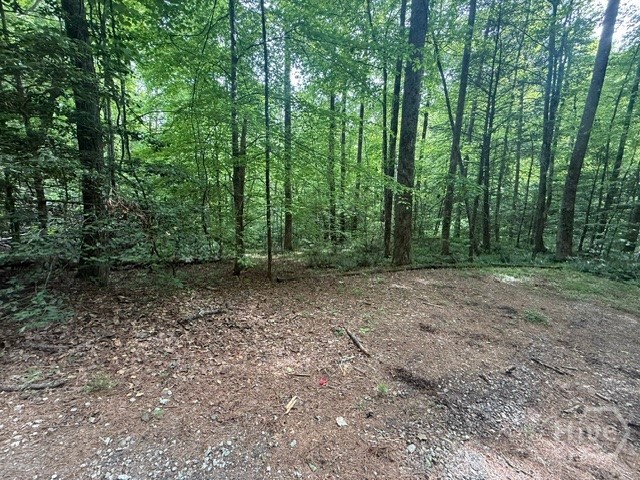 389 Fox Trot Tract B