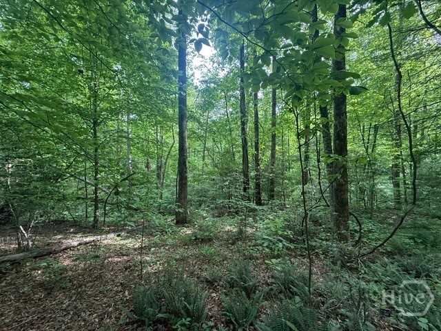 389 Fox Trot Tract B