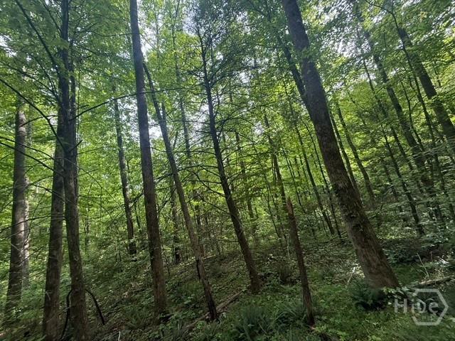 389 Fox Trot Tract B