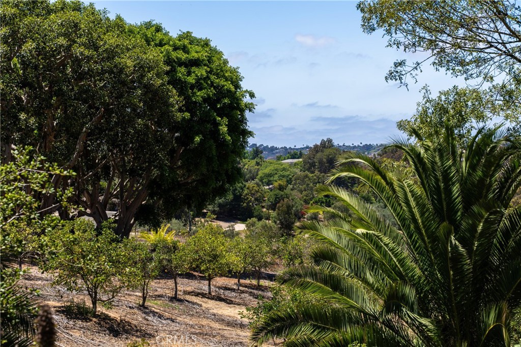 17716 Via De Fortuna