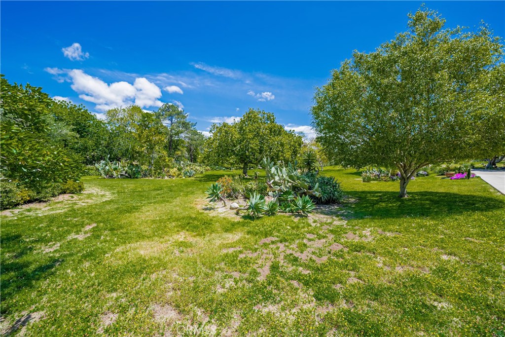 17716 Via De Fortuna