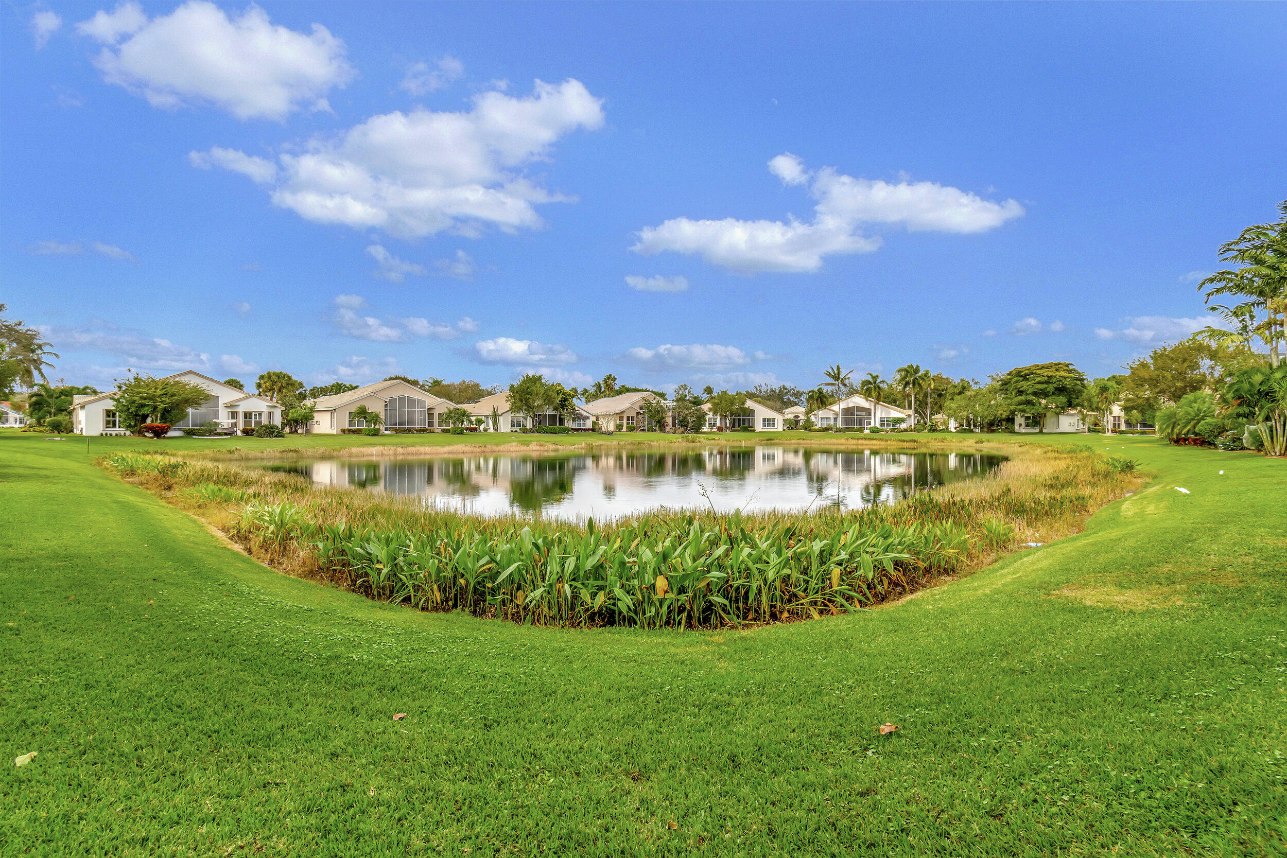 11662 Pamplona Boulevard