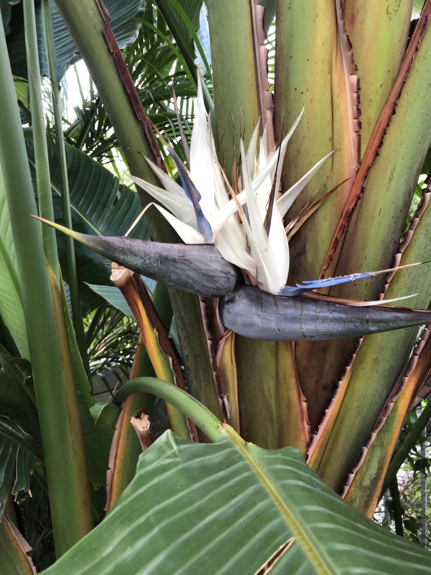 17275 Antigua Point Way