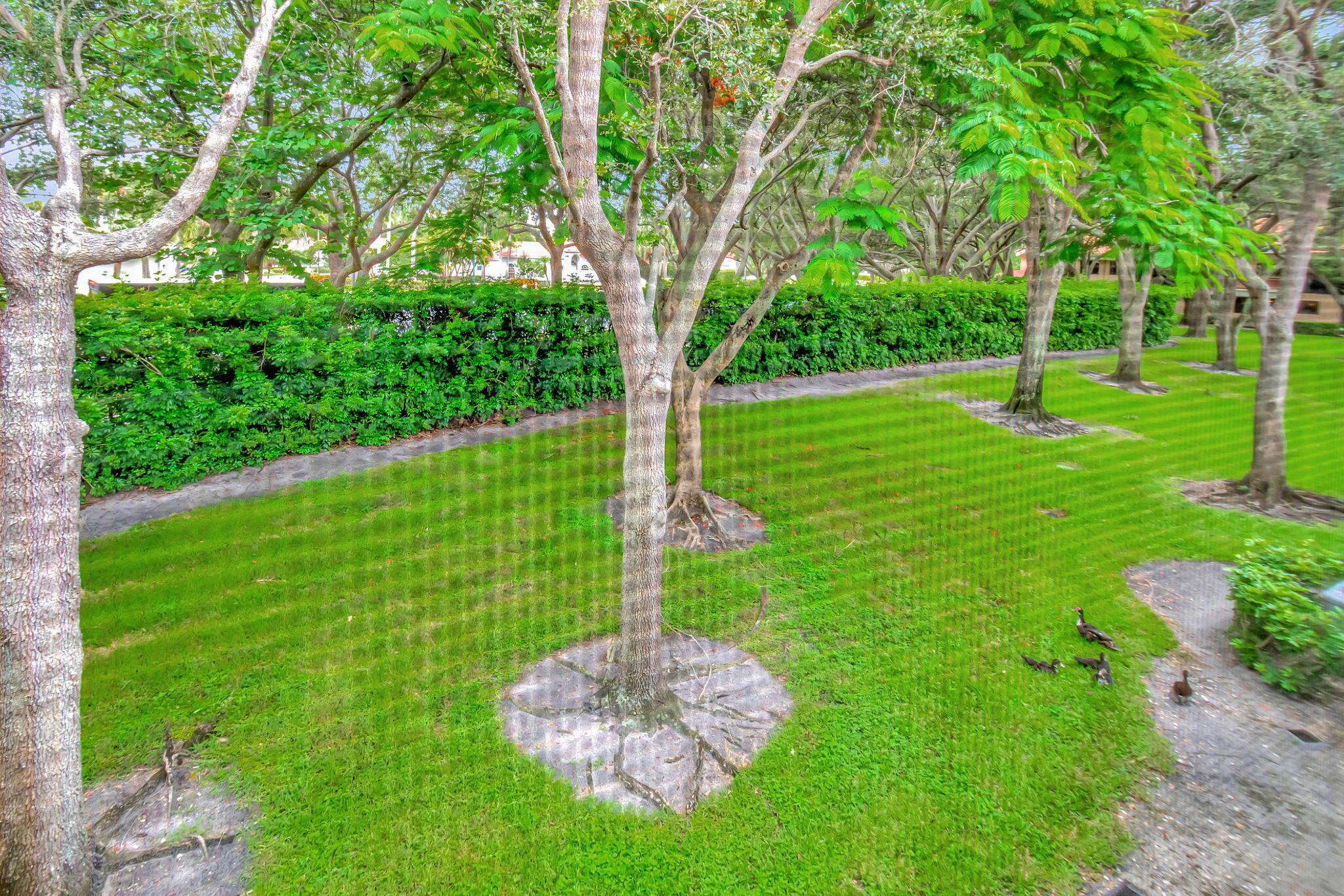 17340 Boca Club Boulevard 702